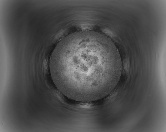 X0000086000667200703300949