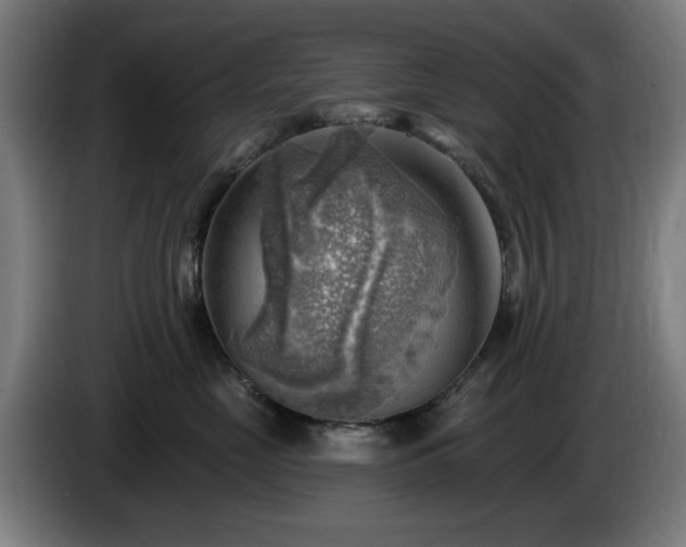 X0000086000669200703300949