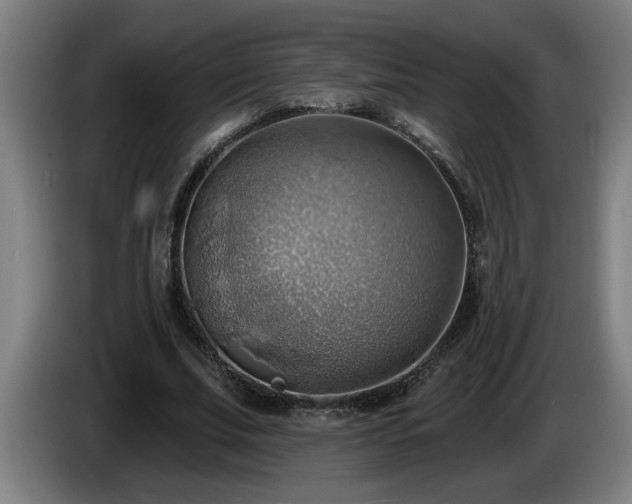 X0000086000679200703300948