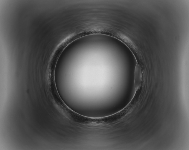 X0000086000680200703300948