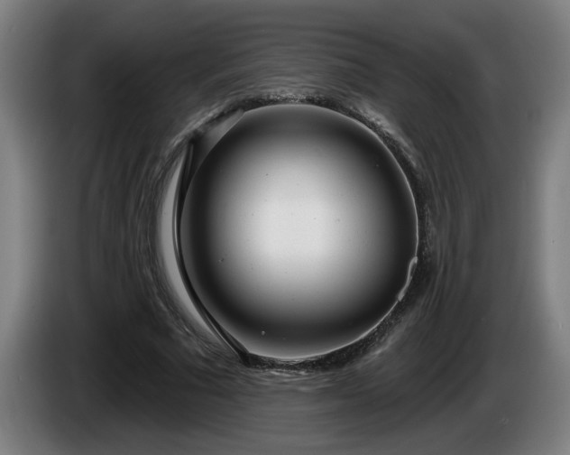 X0000086000681200703300948