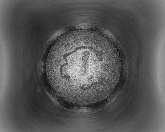 X0000086000683200703300948