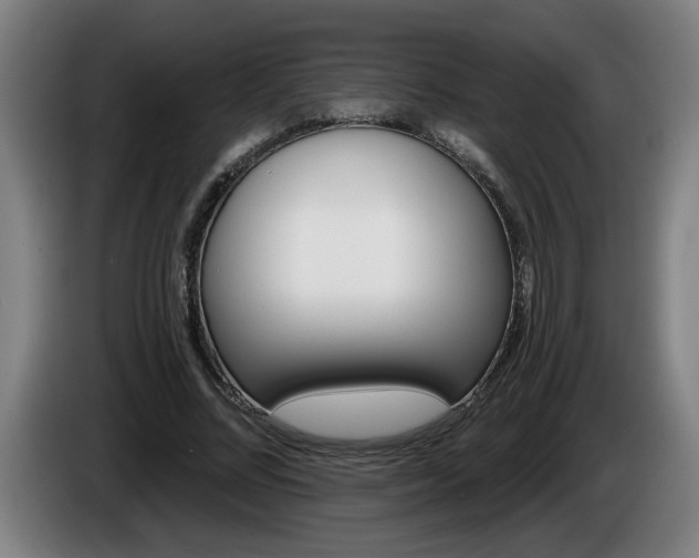 X0000086000684200703300948