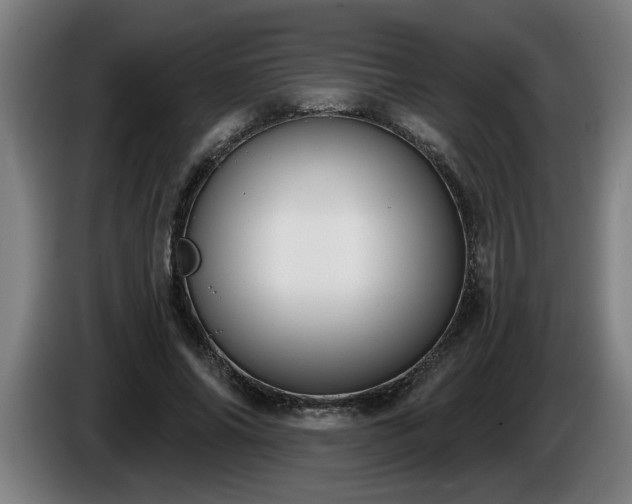 X0000086000686200703300948