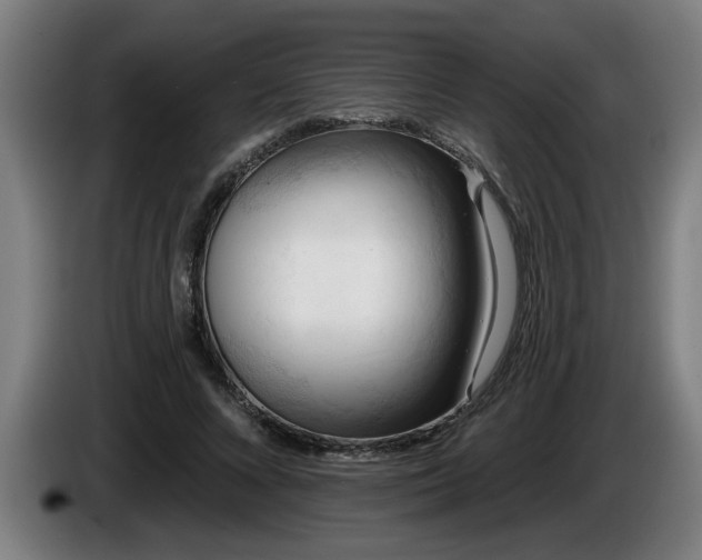 X0000086000688200703300948