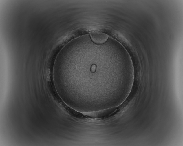 X0000086000689200703300948