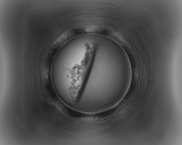 X0000086000691200703300948