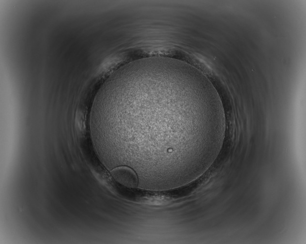 X0000086000695200703300948