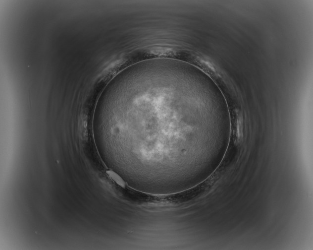 X0000086000696200703300948