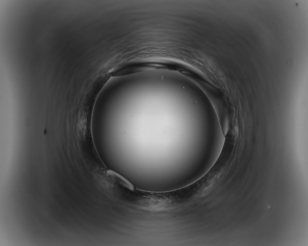 X0000086000697200703300948