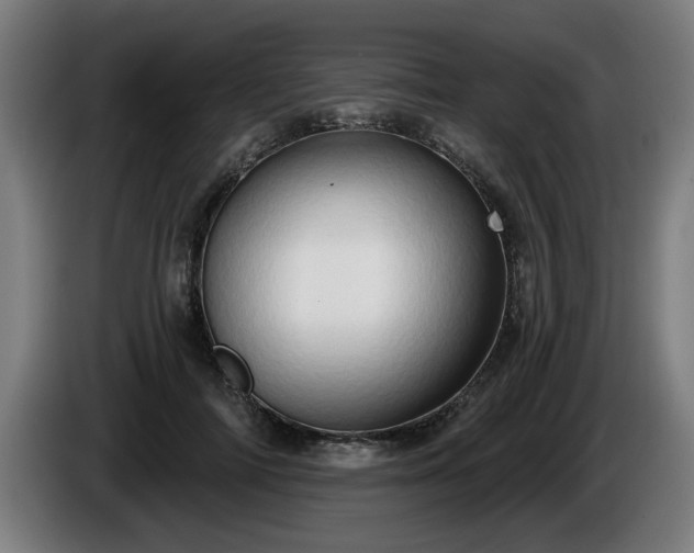 X0000086000698200703300948