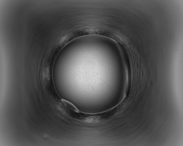 X0000086000700200703300948