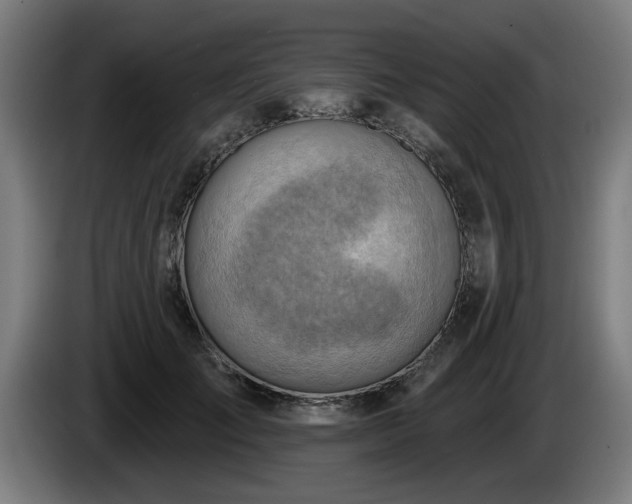 X0000086000701200703300948