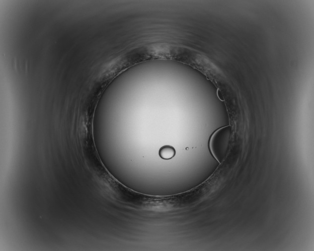 X0000086000702200703300948