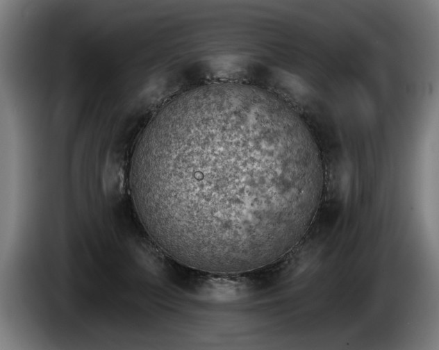 X0000086000703200703300948