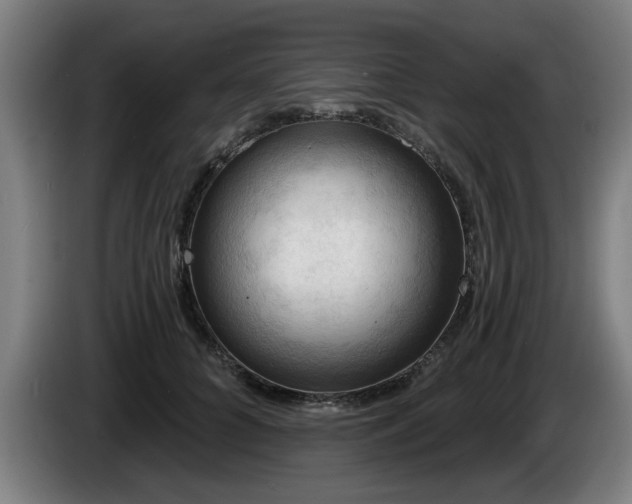 X0000086000704200703300948