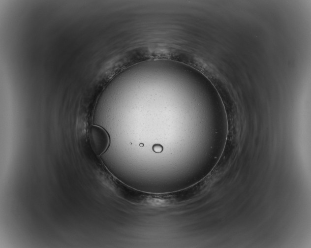 X0000086000706200703300948