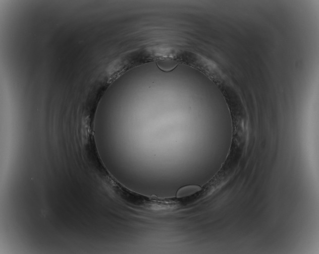 X0000086000707200703300948