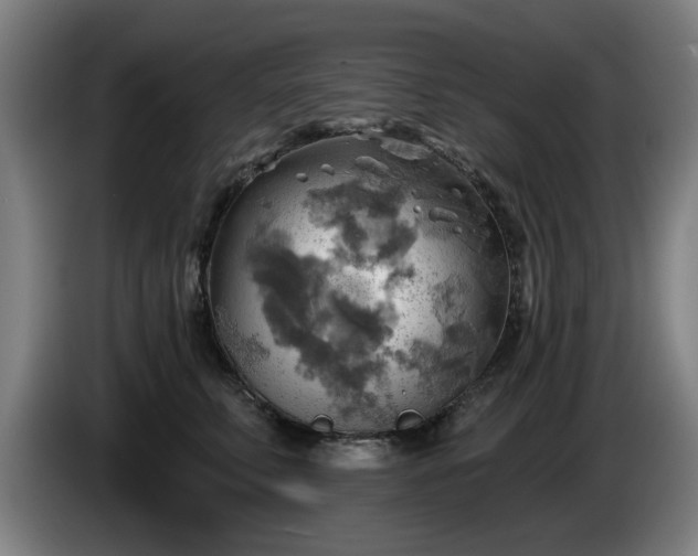 X0000086000711200703300948