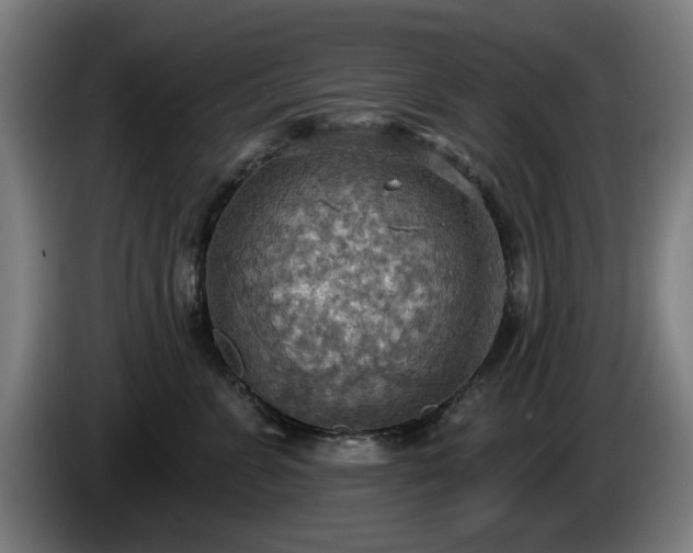 X0000086000715200703300948