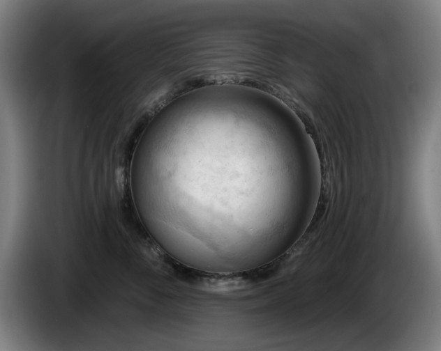 X0000086000716200703300948