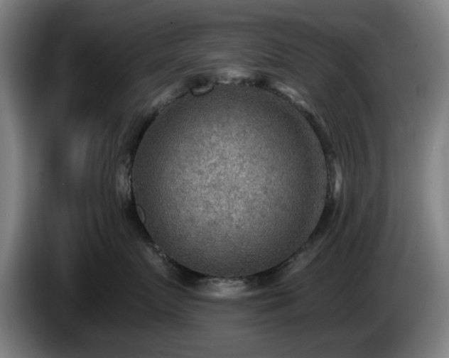 X0000086000719200703300947