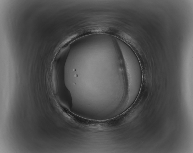 X0000086000721200703300947