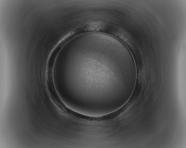 X0000086000722200703300947