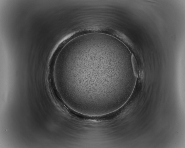 X0000086000724200703300947