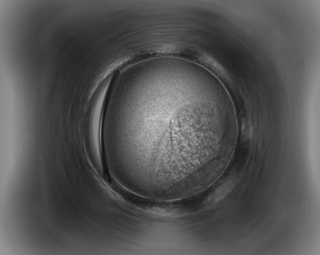 X0000086000725200703300947