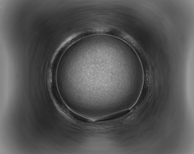 X0000086000726200703300947