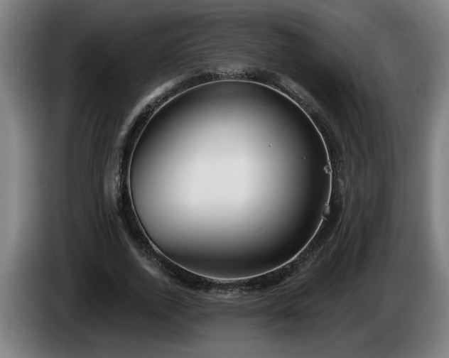 X0000086000728200703300947