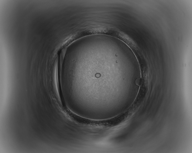 X0000086000729200703300947