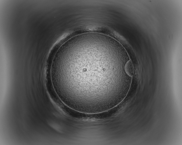 X0000086000730200703300947