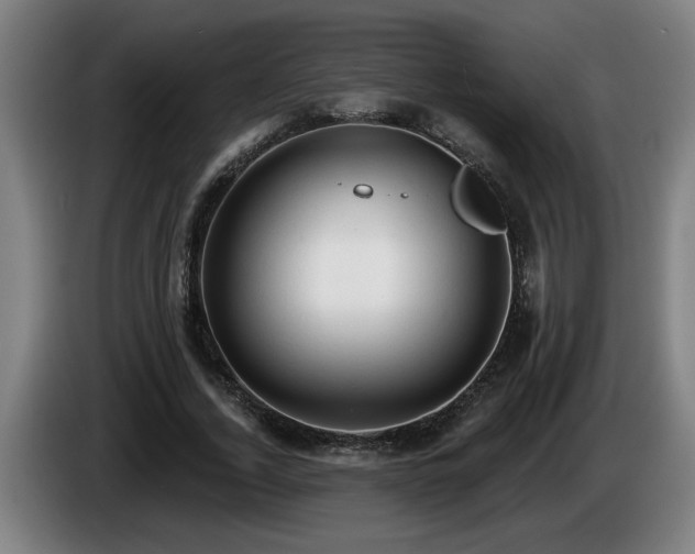 X0000086000732200703300947