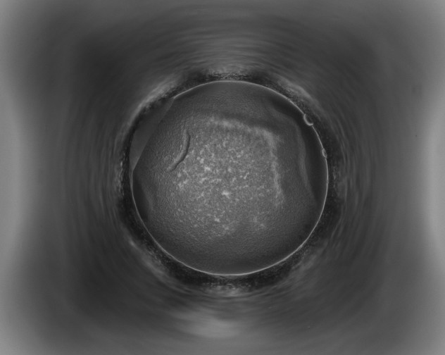 X0000086000735200703300947