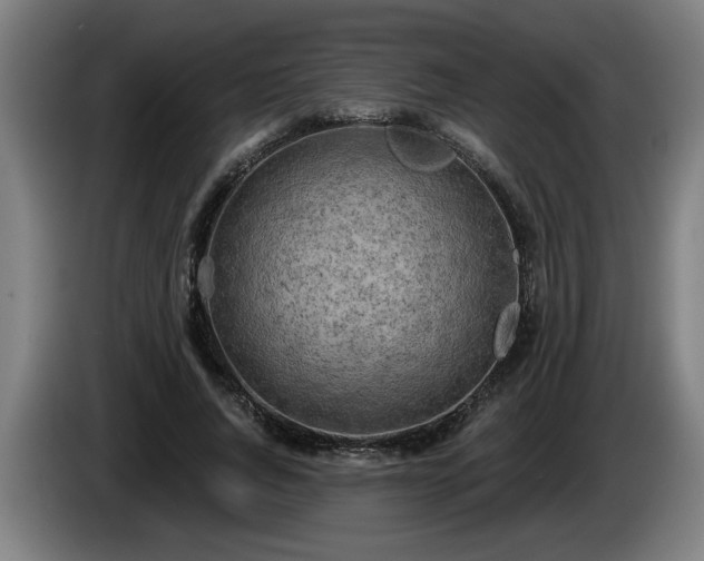 X0000086000736200703300947