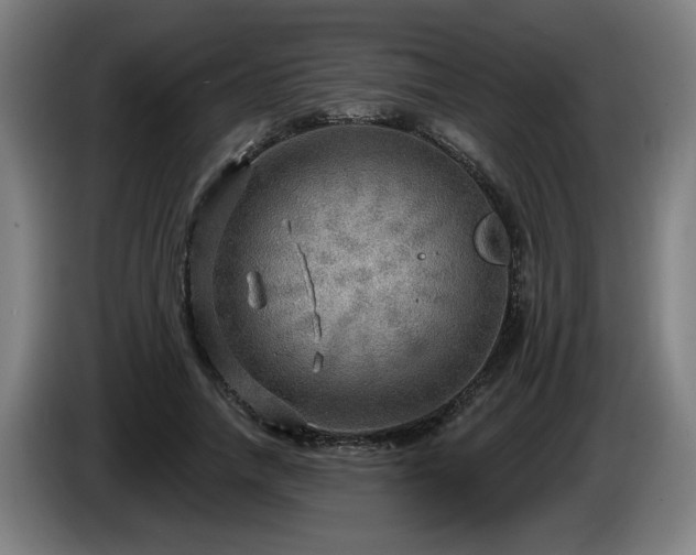 X0000086000738200703300947