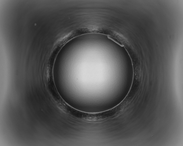 X0000086000740200703300947