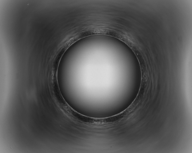 X0000086000744200703300947