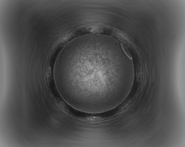 X0000086000748200703300947