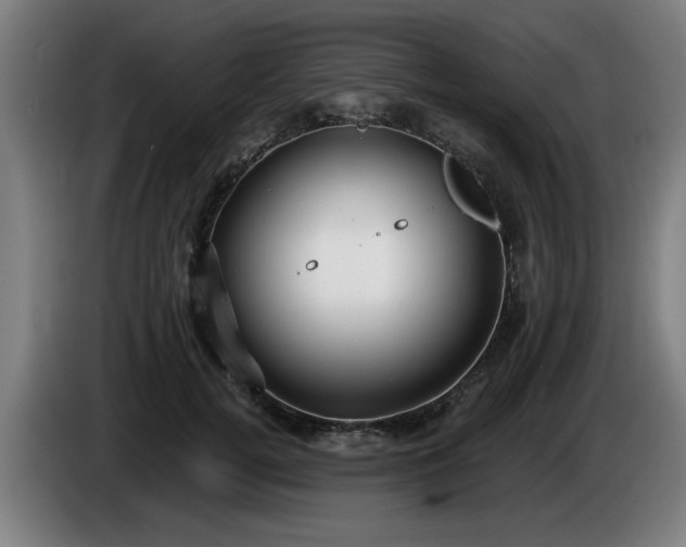 X0000086000752200703300947