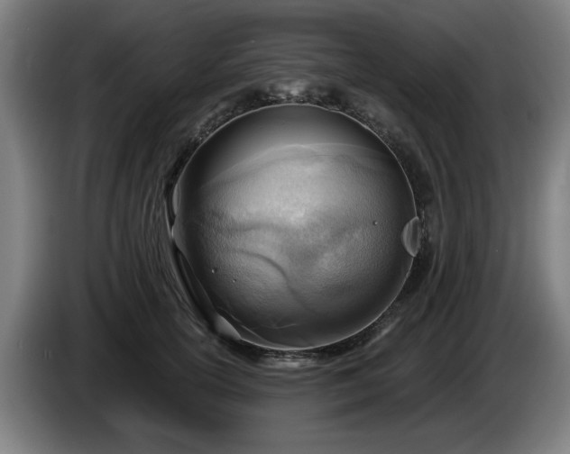 X0000086000754200703300947