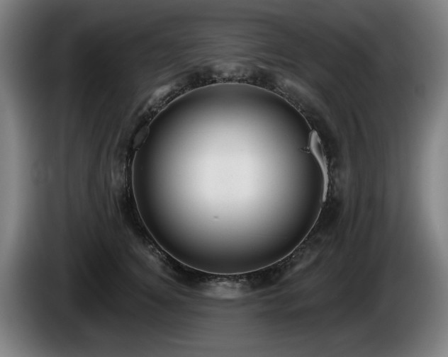 X0000086000756200703300947