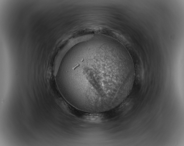 X0000086000758200703300947