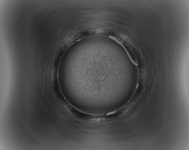 X0000086000760200703300947