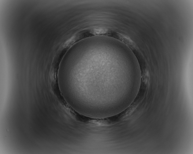 X0000086000763200703300947