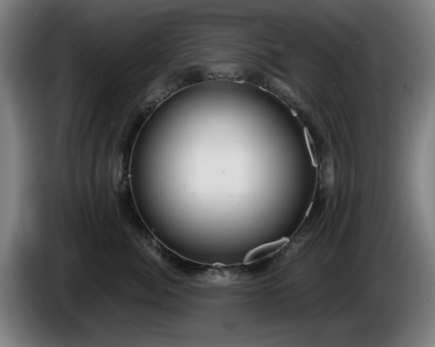 X0000086000764200703300947