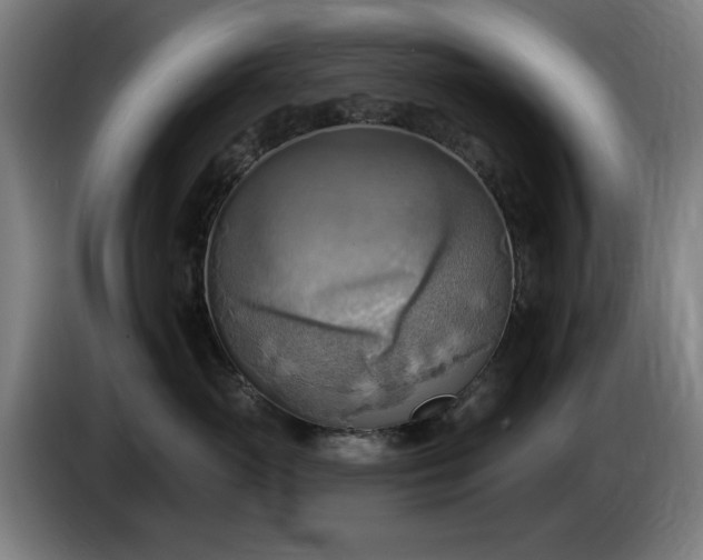 X0000086000765200703300947