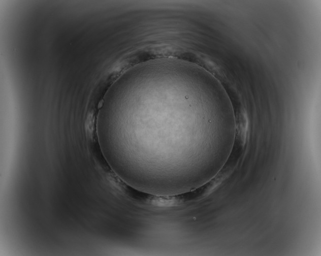 X0000086000767200703300947